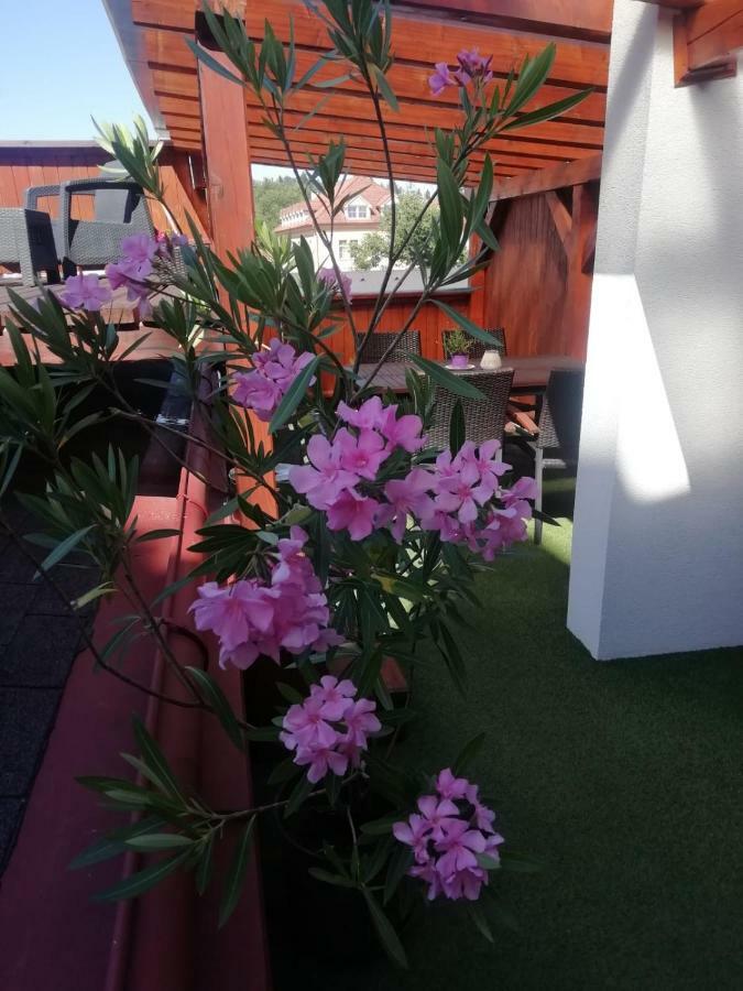 Penzion U Papousku Jindřichŭv Hradec Exteriör bild